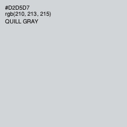 #D2D5D7 - Quill Gray Color Image